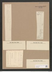 Synedra ulna var. amphirhynchus (Ehr.) Grun. (de-Toni-Nr.: Genus 66, Species 2584) Zeichnungen Sammlung Grunow Nr. 5198 (NHMW-BOT-W0373560)